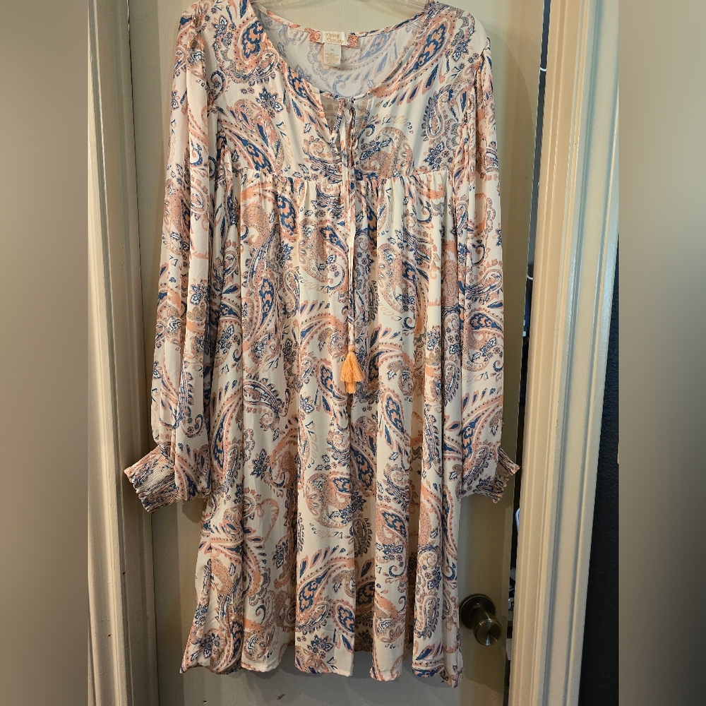 Flying Tomato Cream and Blue Paisley Dress